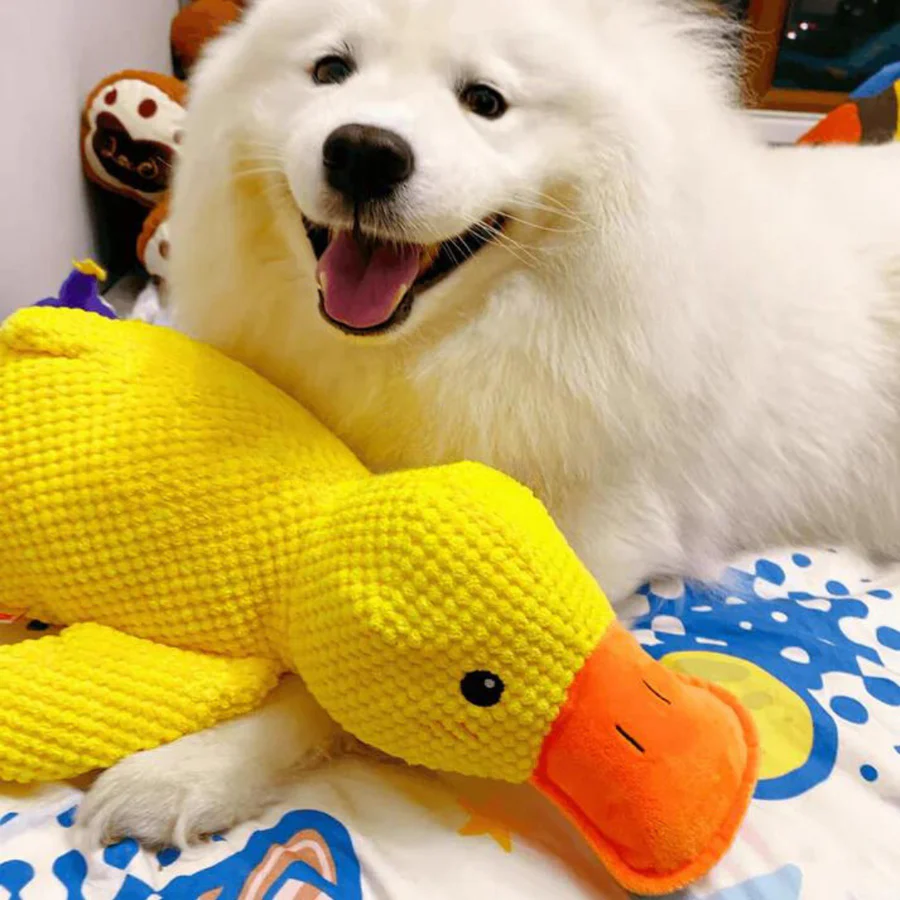 Calming Duck – The Squeaky Plush Toy Every Dog Loves