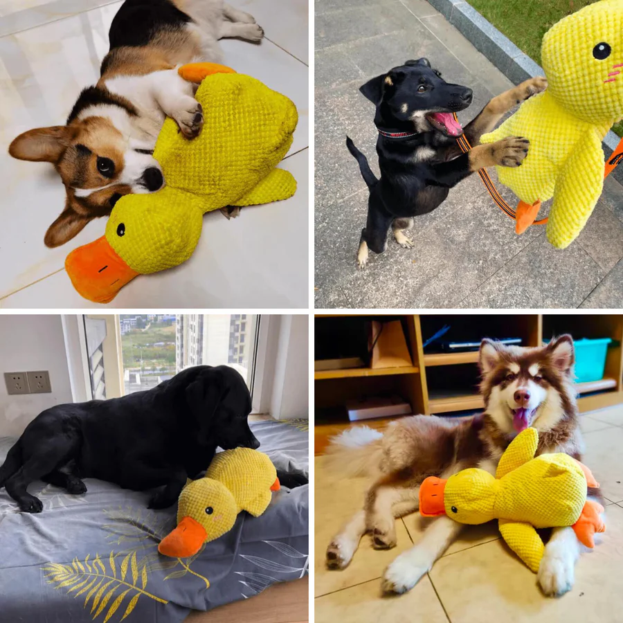 Calming Duck – The Squeaky Plush Toy Every Dog Loves