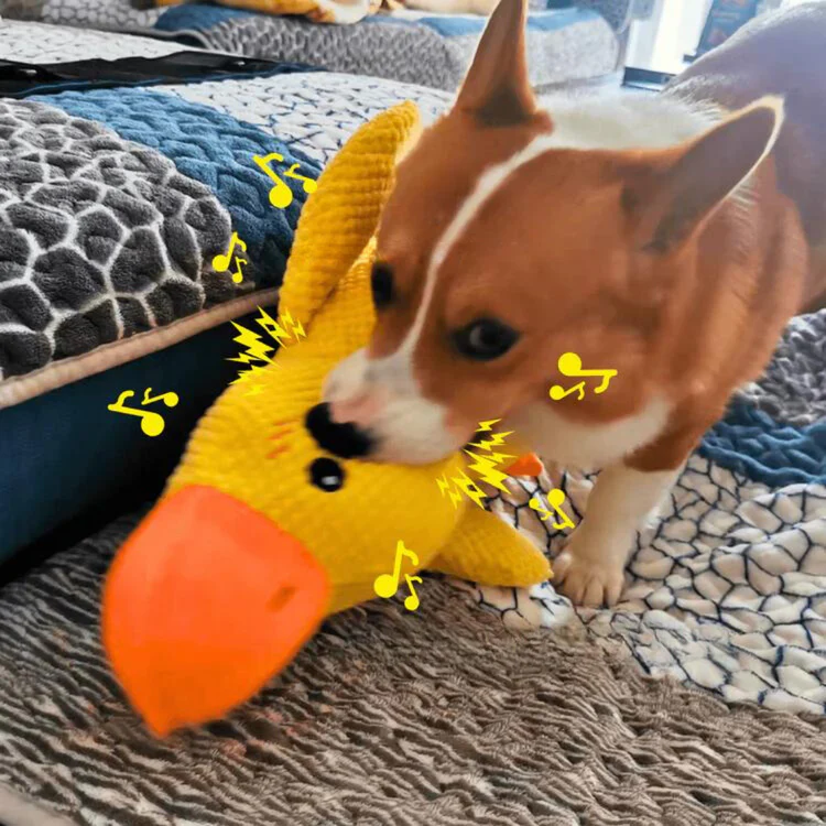 Calming Duck – The Squeaky Plush Toy Every Dog Loves